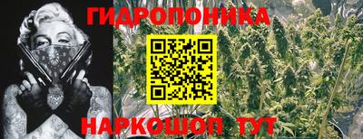 мяу мяу мука Ижевск