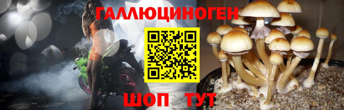 Псилоцибиновые грибы MAGIC MUSHROOMS  Галлюциногенные грибы прущие грибы  Вход с VPN  Назрань 